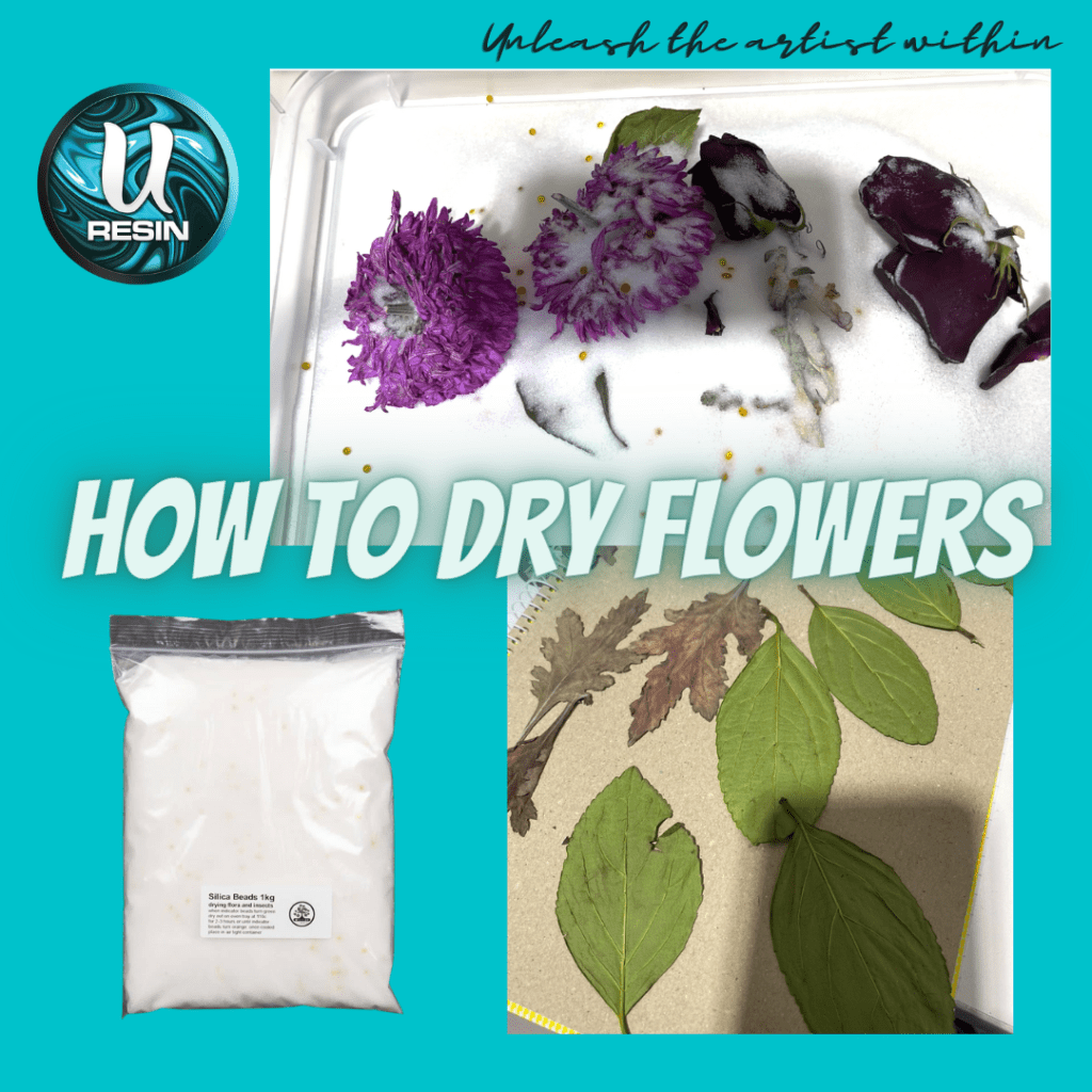 How to dry flowers | uresin